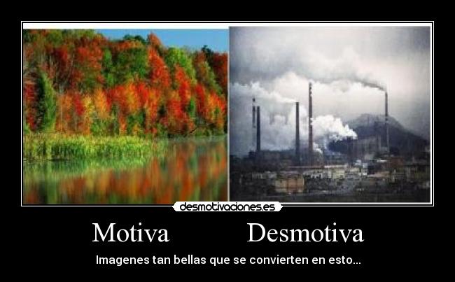 Motiva Desmotiva -