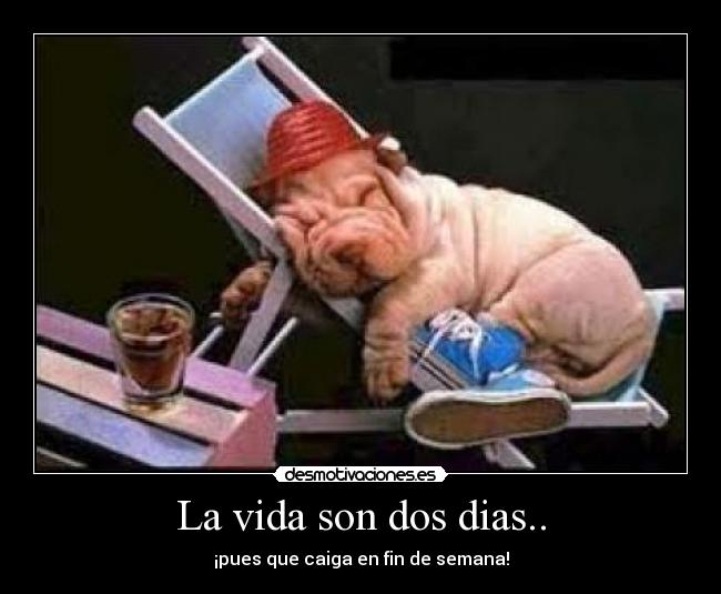 La vida son dos dias.. - ¡pues que caiga en fin de semana!