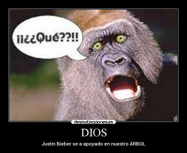 DIOS - Justin Bieber se a apoyado en nuestro ÁRBOL