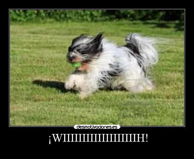 ¡WIIIIIIIIIIIIIIIIIIIH! -