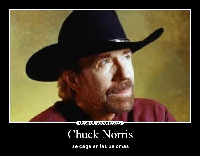 Chuck Norris -