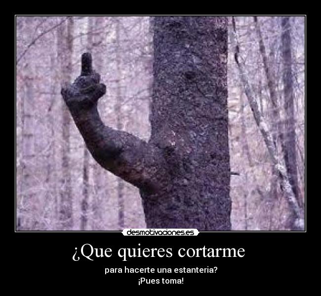 carteles 12341234 desmotivaciones