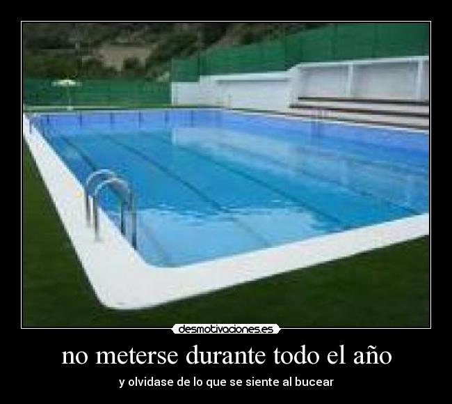 no meterse durante todo el año -