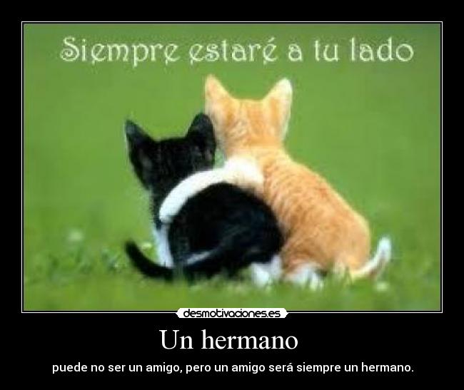 Un hermano -