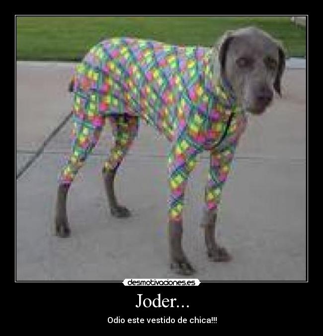 Joder... - Odio este vestido de chica!!!