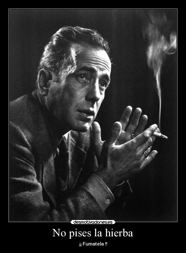 No pises la hierba - 