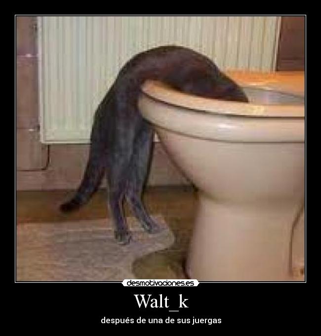 Walt_k - después de una de sus juergas