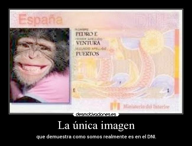 La única imagen - que demuestra como somos realmente es en el DNI.