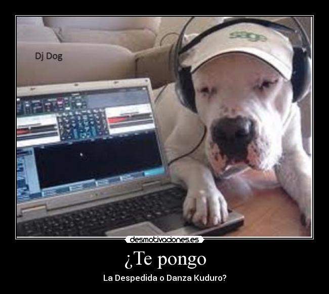 ¿Te pongo - La Despedida o Danza Kuduro?