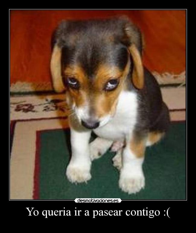 Yo queria ir a pasear contigo :( -