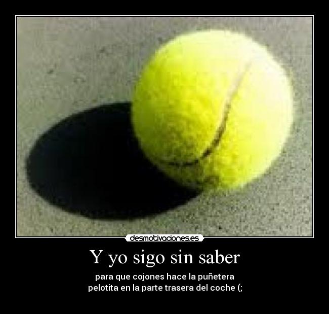 Y yo sigo sin saber -