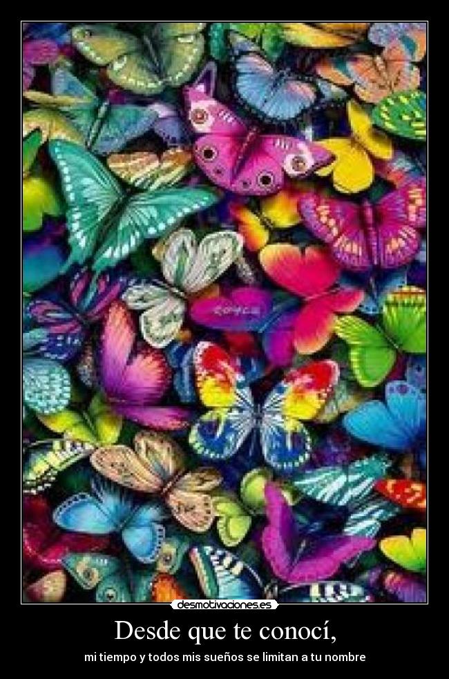 Desde que te conocí, -