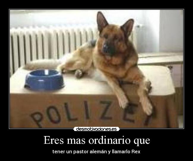 Eres mas ordinario que -