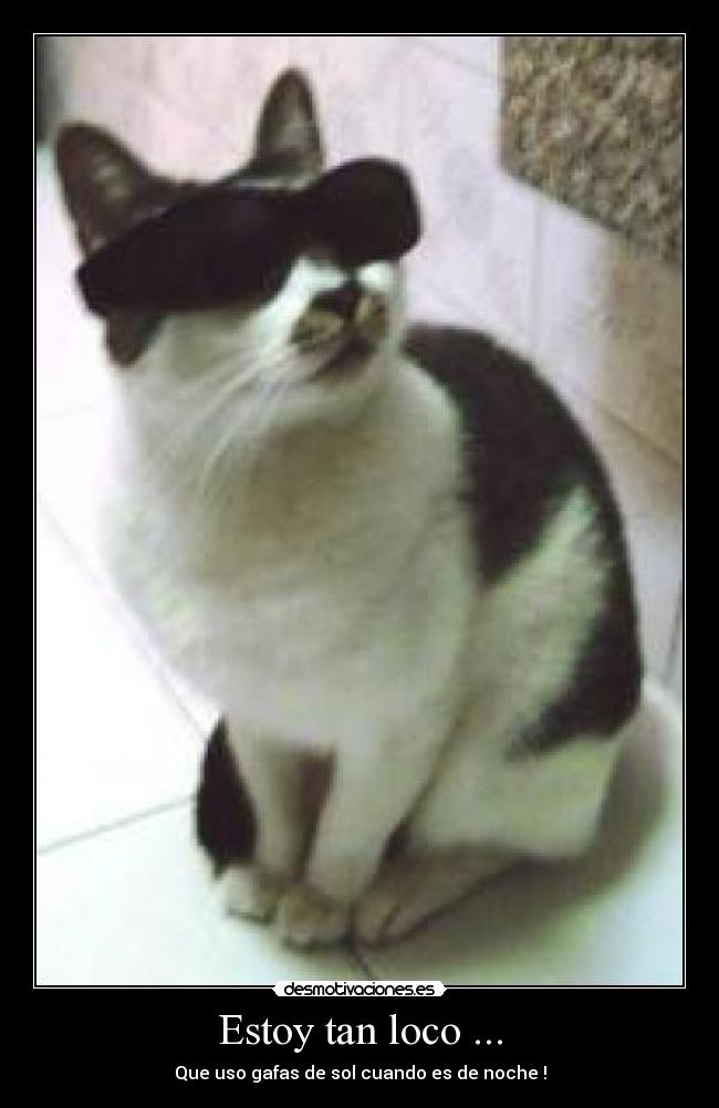Estoy tan loco ... - Que uso gafas de sol cuando es de noche !