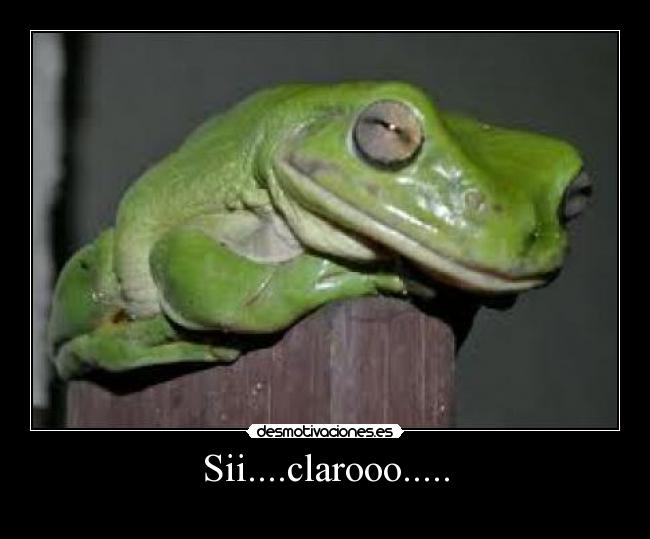 Sii....clarooo..... - 