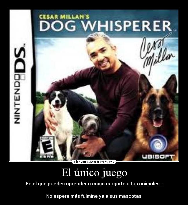 carteles encantador perros desmotivaciones