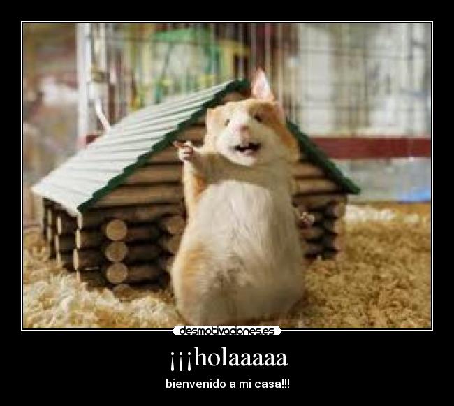 ¡¡¡holaaaaa - 