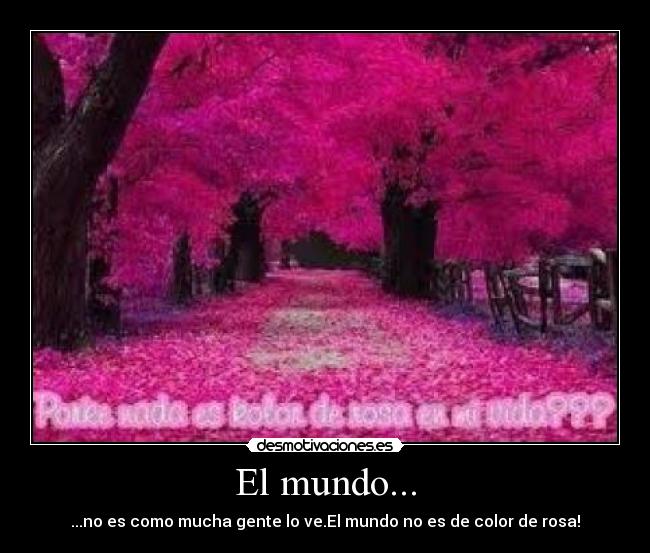 El mundo... - ...no es como mucha gente lo ve.El mundo no es de color de rosa!