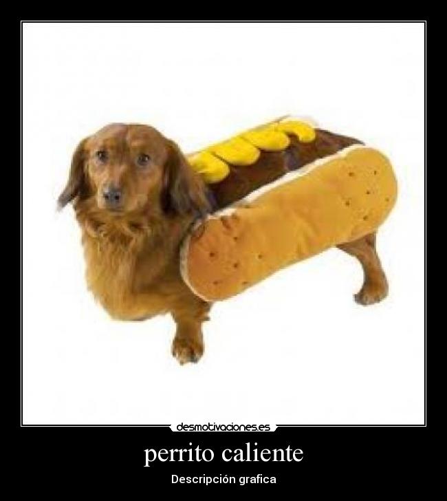 perrito caliente - 