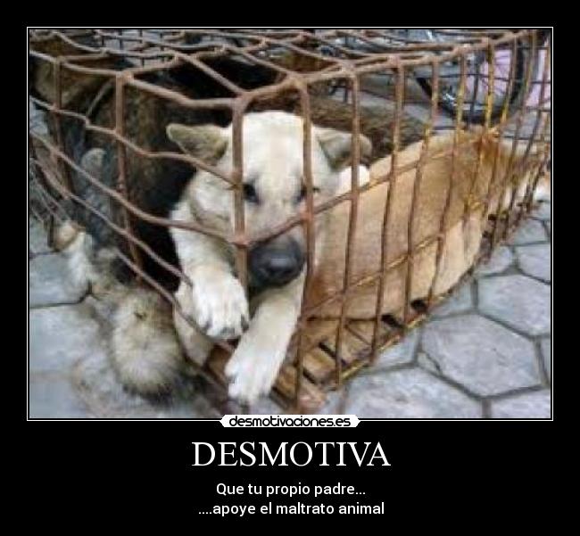 DESMOTIVA - Que tu propio padre...
....apoye el maltrato animal