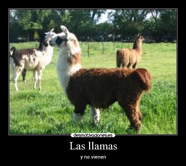 Las llamas -