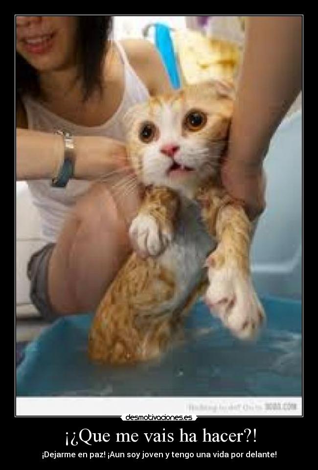 ¡¿Que me vais ha hacer?! - ¡Dejarme en paz! ¡Aun soy joven y tengo una vida por delante!