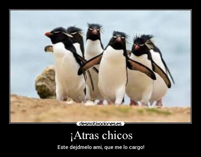 ¡Atras chicos -