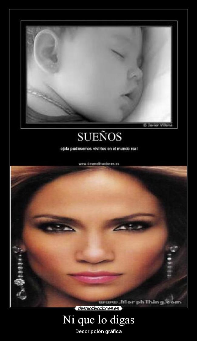 Ni que lo digas - Descripción gráfica