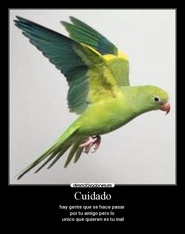 Cuidado - hay gente que se hace pasar
por tu amigo pero lo
unico que quieren es tu mal