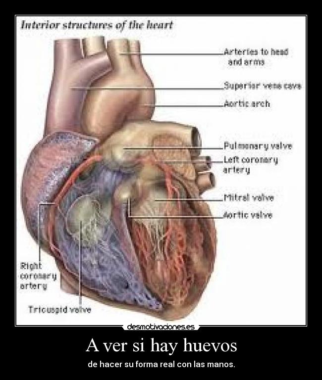 carteles amorrrr desmotivaciones