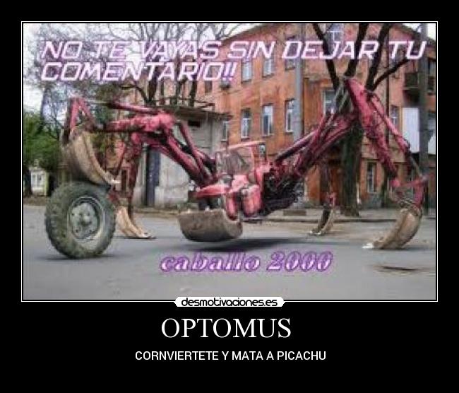 OPTOMUS  - 