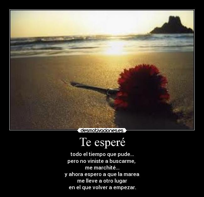 Te esperé - todo el tiempo que pude...
pero no viniste a buscarme,
me marchité...
y ahora espero a que la marea
me lleve a otro lugar
en el que volver a empezar.