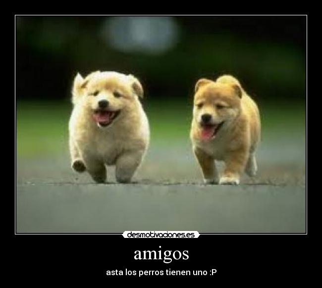 carteles amigos 221cristian desmotivaciones