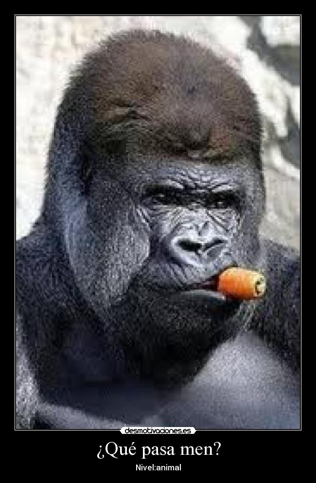 ¿Qué pasa men? - Nivel:animal