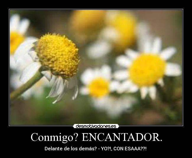 Conmigo? ENCANTADOR. - Delante de los demás? - YO?!, CON ESAAA??! 