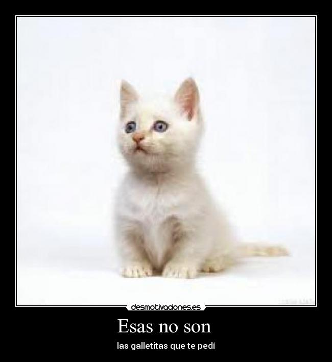 Esas no son - las galletitas que te pedí