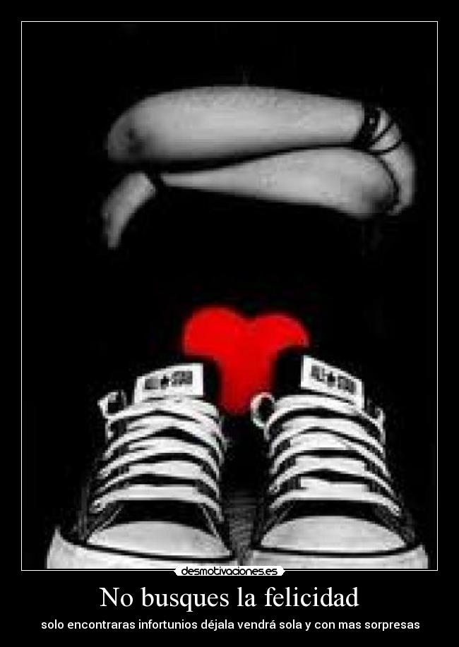 No busques la felicidad -