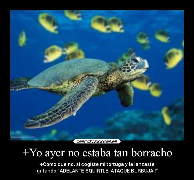 +Yo ayer no estaba tan borracho - +Como que no, si cogiste mi tortuga y la lanzaste
gritando ADELANTE SQUIRTLE, ATAQUE BURBUJA!!