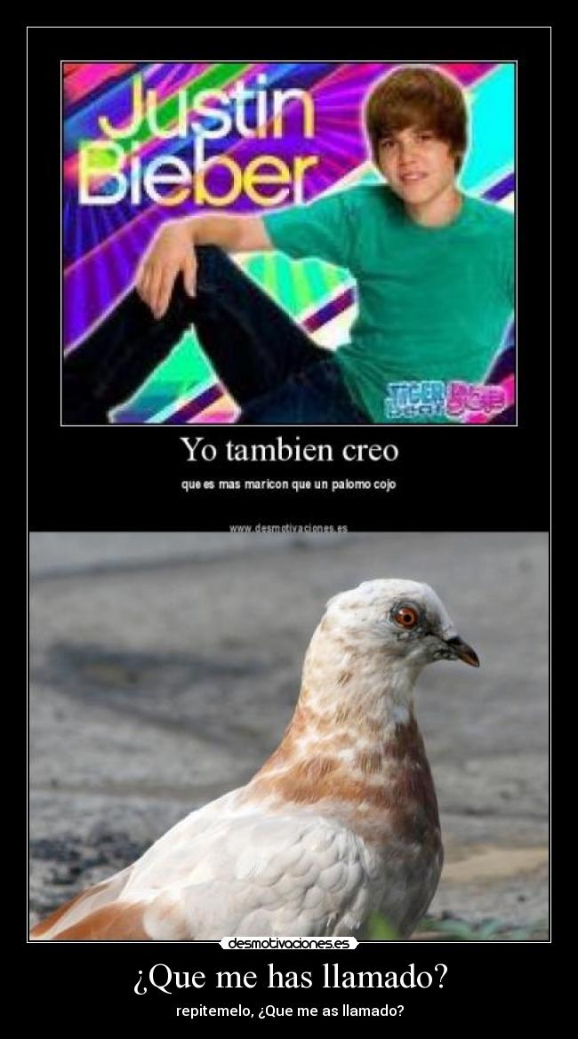 ¿Que me has llamado? -