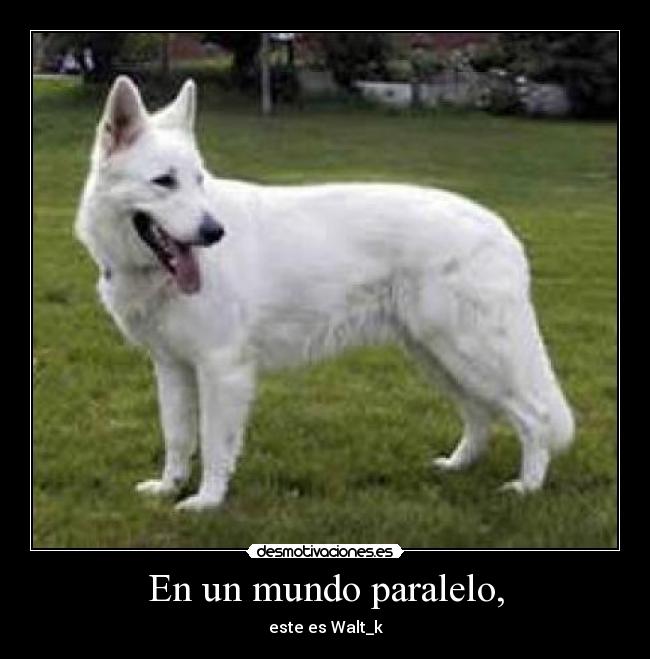 En un mundo paralelo, -