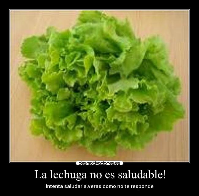 La lechuga no es saludable! - 