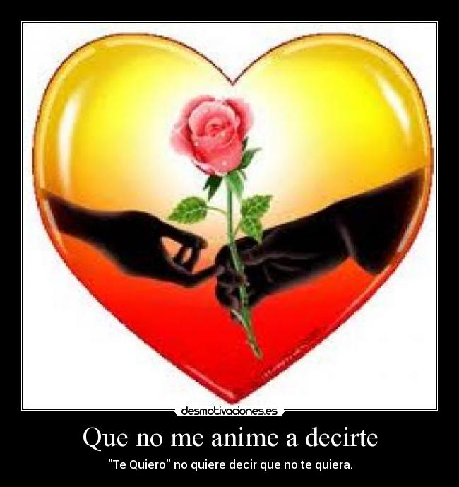 Que no me anime a decirte - Te Quiero no quiere decir que no te quiera.