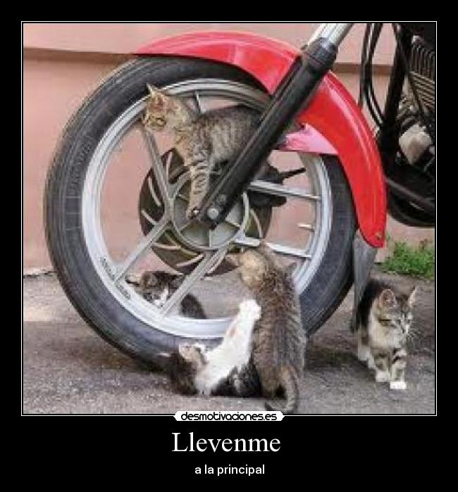 Llevenme - a la principal