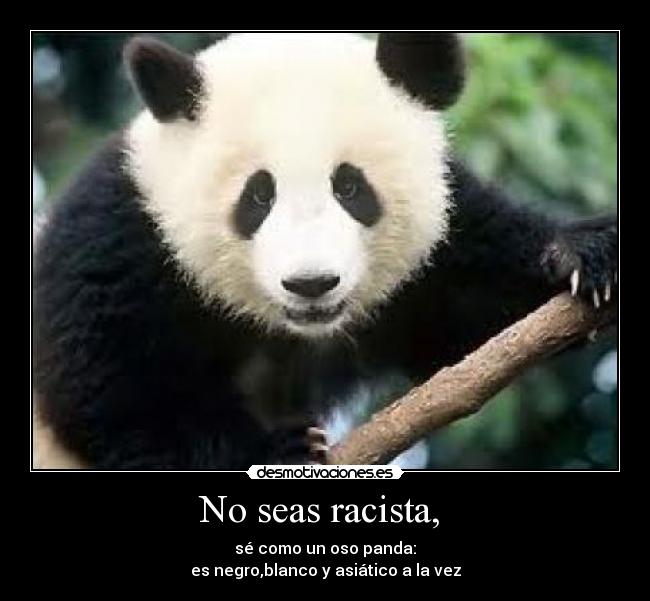 No seas racista, - sé como un oso panda:
es negro,blanco y asiático a la vez