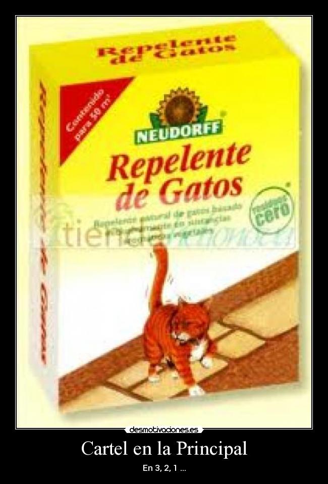 Cartel en la Principal - En 3, 2, 1 ...