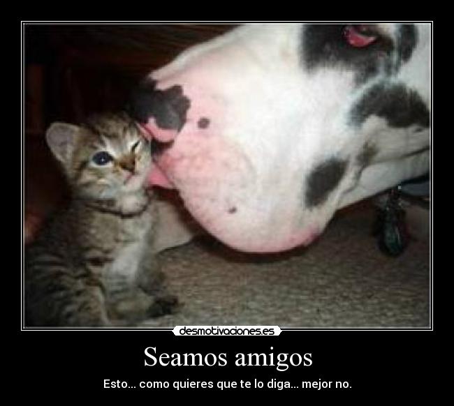 Seamos amigos - Esto... como quieres que te lo diga... mejor no.