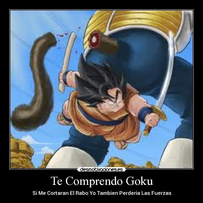 Te Comprendo Goku -