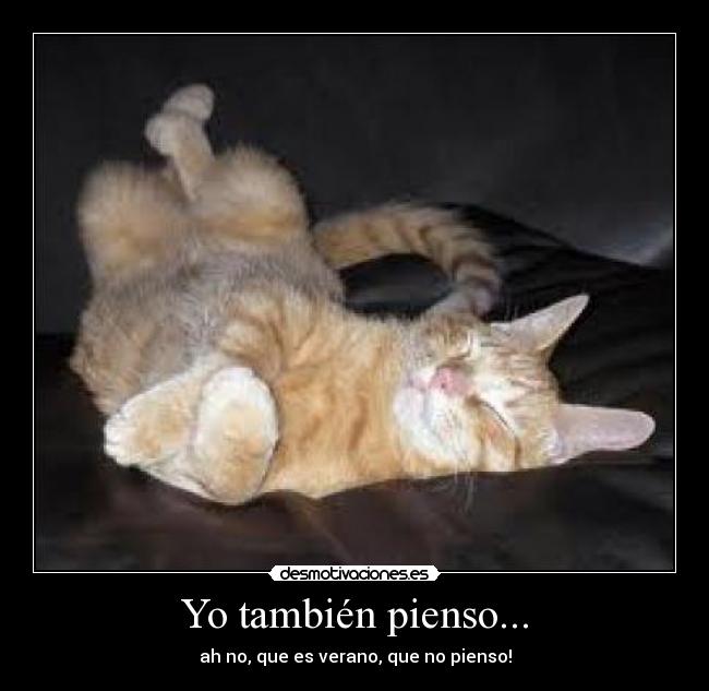 Yo también pienso... - 