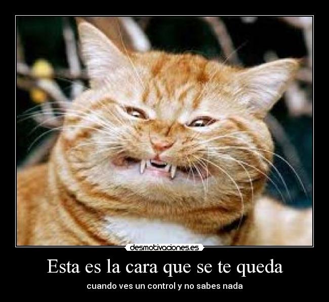 Esta es la cara que se te queda -