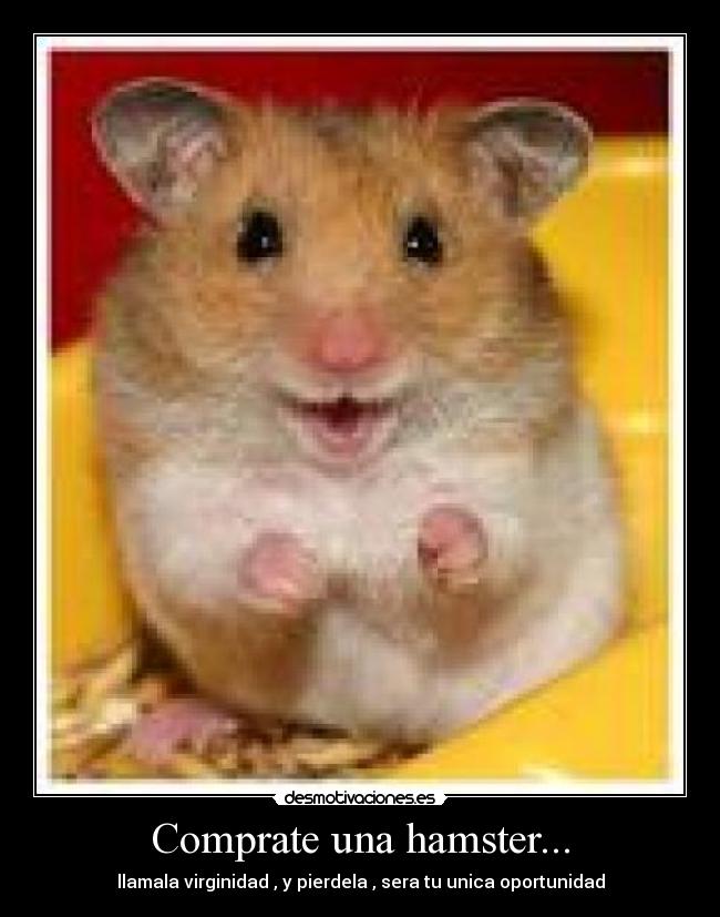 carteles hkl desmotivaciones